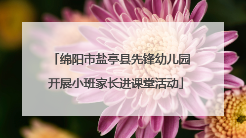 绵阳市盐亭县先锋幼儿园开展小班家长进课堂活动