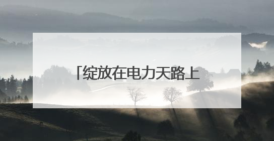 绽放在电力天路上的“雪域格桑花”