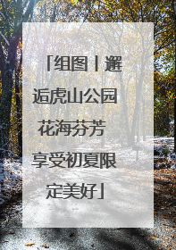组图丨邂逅虎山公园花海芬芳 享受初夏限定美好