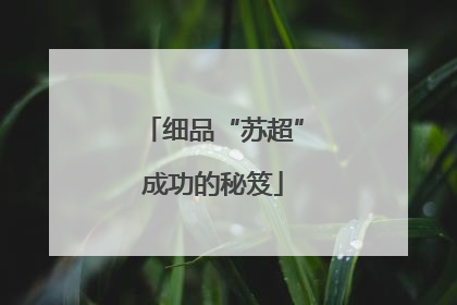细品“苏超”成功的秘笈