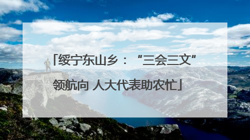 绥宁东山乡：“三会三文”领航向 人大代表助农忙