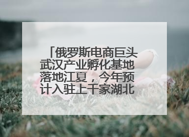 俄罗斯电商巨头武汉产业孵化基地落地江夏，今年预计入驻上千家湖北跨境卖家