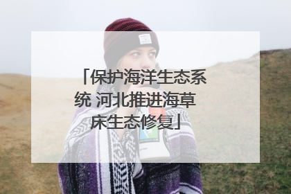 保护海洋生态系统 河北推进海草床生态修复