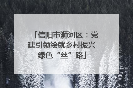 信阳市浉河区：党建引领绘就乡村振兴绿色“丝”路