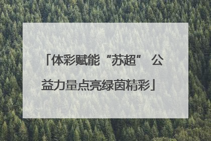 体彩赋能“苏超” 公益力量点亮绿茵精彩