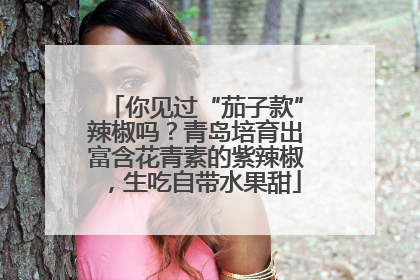 你见过“茄子款”辣椒吗？青岛培育出富含花青素的紫辣椒，生吃自带水果甜