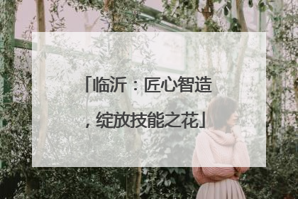 临沂：匠心智造，绽放技能之花