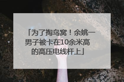 为了掏鸟窝！余姚一男子被卡在10余米高的高压电线杆上