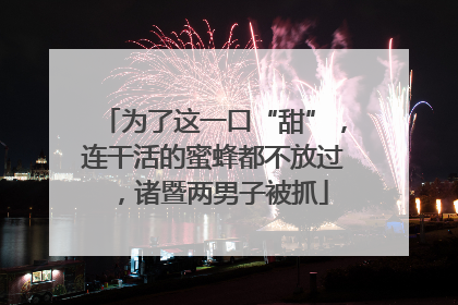为了这一口“甜”，连干活的蜜蜂都不放过，诸暨两男子被抓