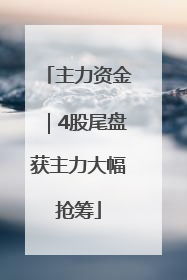 主力资金｜4股尾盘获主力大幅抢筹