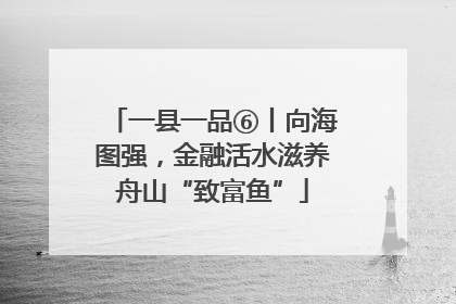 一县一品⑥丨向海图强，金融活水滋养舟山“致富鱼”
