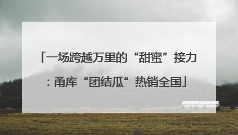 一场跨越万里的“甜蜜”接力：甬库“团结瓜”热销全国