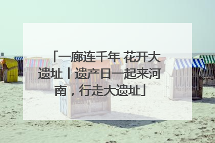 一廊连千年 花开大遗址丨遗产日一起来河南，行走大遗址