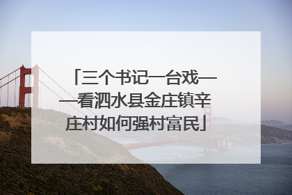 三个书记一台戏——看泗水县金庄镇辛庄村如何强村富民