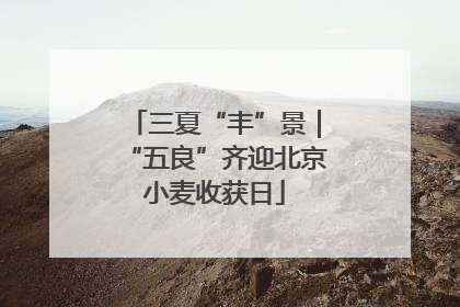 三夏“丰”景｜“五良”齐迎北京小麦收获日