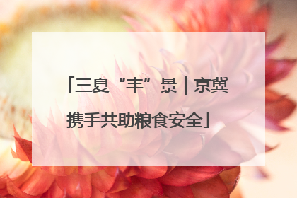 三夏“丰”景｜京冀携手共助粮食安全