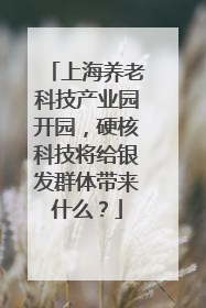 上海养老科技产业园开园，硬核科技将给银发群体带来什么？