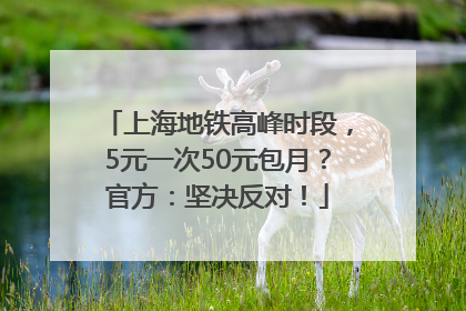 上海地铁高峰时段，5元一次50元包月？官方：坚决反对！