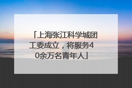 上海张江科学城团工委成立，将服务40余万名青年人