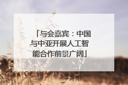 与会嘉宾：中国与中亚开展人工智能合作前景广阔