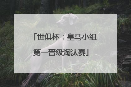 世俱杯：皇马小组第一晋级淘汰赛