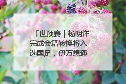 世预赛｜杨明洋完成会籍转换将入选国足，伊万想通了要打双后腰？