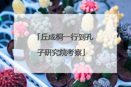 丘成桐一行到孔子研究院考察