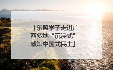 东盟学子走进广西多地“沉浸式”感知中国式民主