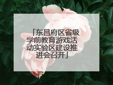 东昌府区省级学前教育游戏活动实验区建设推进会召开