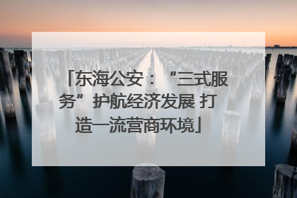 东海公安：“三式服务”护航经济发展 打造一流营商环境