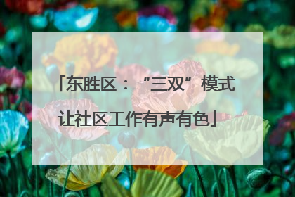 东胜区：“三双”模式让社区工作有声有色