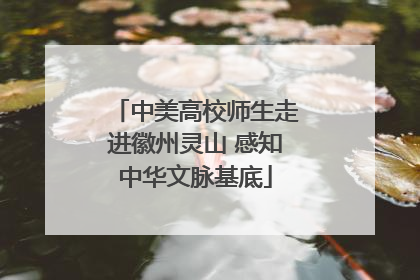 中美高校师生走进徽州灵山 感知中华文脉基底
