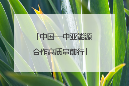 中国—中亚能源合作高质量前行