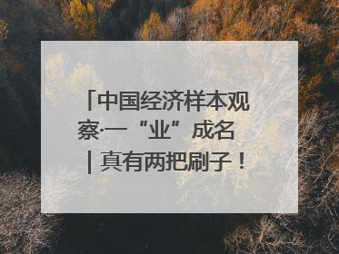 中国经济样本观察·一“业”成名｜真有两把刷子！“刷”出30亿级“颜值经济”