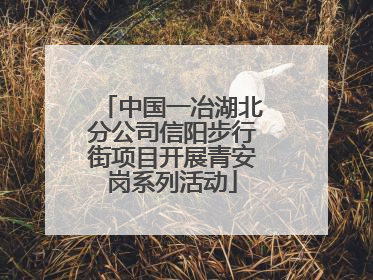 中国一冶湖北分公司信阳步行街项目开展青安岗系列活动