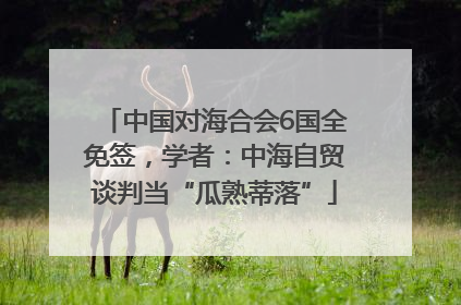 中国对海合会6国全免签，学者：中海自贸谈判当“瓜熟蒂落”