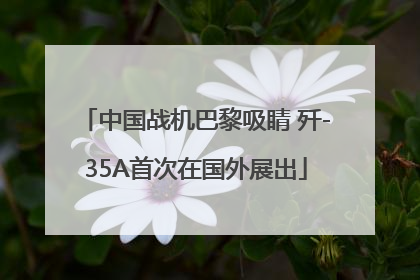 中国战机巴黎吸睛 歼-35A首次在国外展出