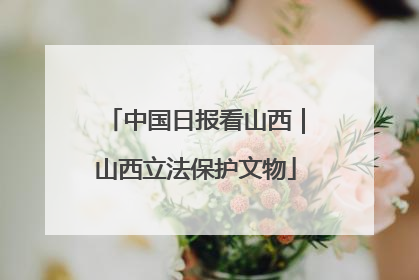 中国日报看山西｜山西立法保护文物
