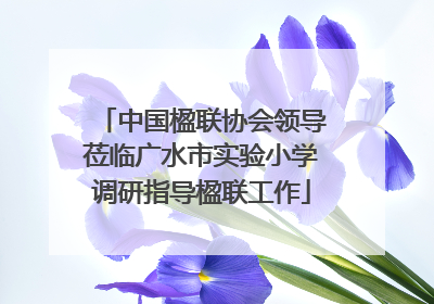 中国楹联协会领导莅临广水市实验小学调研指导楹联工作