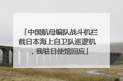 中国航母编队战斗机拦截日本海上自卫队巡逻机，我驻日使馆回应
