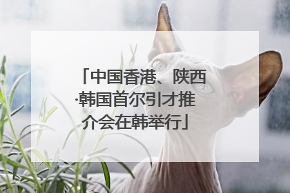 中国香港、陕西·韩国首尔引才推介会在韩举行