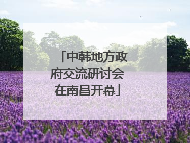 中韩地方政府交流研讨会在南昌开幕