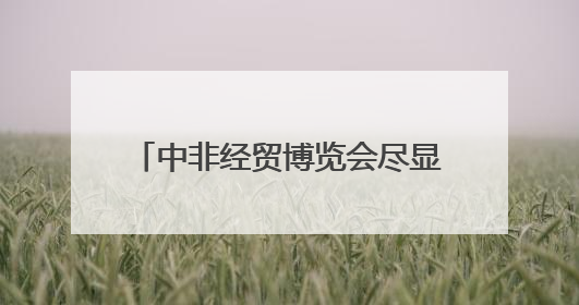 中非经贸博览会尽显中非合作“热度”