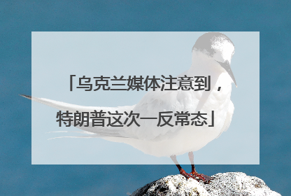 乌克兰媒体注意到，特朗普这次一反常态