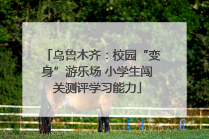 乌鲁木齐：校园“变身”游乐场 小学生闯关测评学习能力
