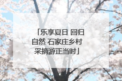 乐享夏日 回归自然 石家庄乡村采摘游正当时