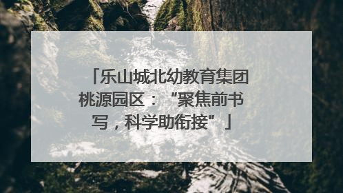 乐山城北幼教育集团桃源园区：“聚焦前书写，科学助衔接”