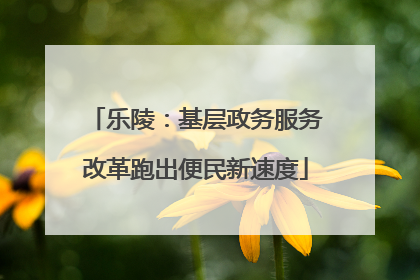 乐陵：基层政务服务改革跑出便民新速度