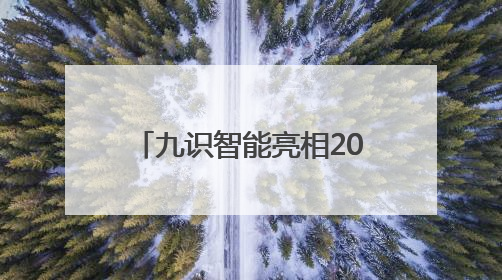 九识智能亮相2025廊坊经洽会：以技术革新推动智能物流产业升级