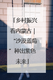 乡村振兴看内蒙古｜“沙漠蓝莓”种出紫色未来